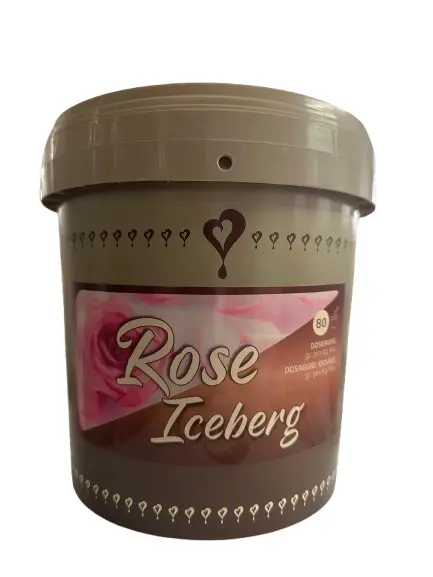 Pasta Rose (ruža) Iceberg