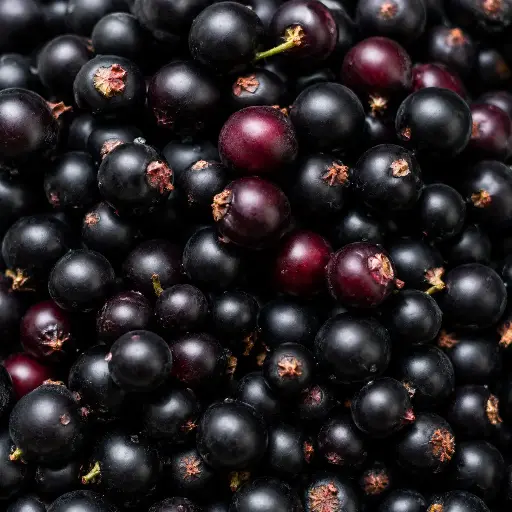 [1736] Mrazené Čierne ríbezle 2,5 kg