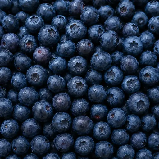 [1735] Mrazené Čučoriedky lesné 2,5 kg